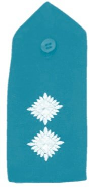 Inspector badge insignia pips