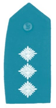 chief inspector badge pips