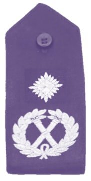 DCC police badge insignia wreath