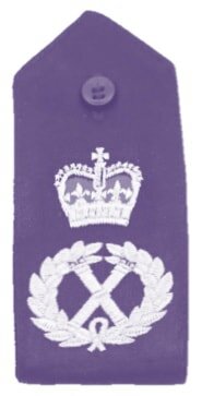 chief constable insignia wreath